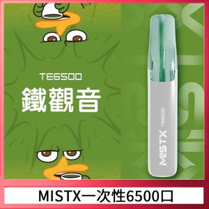MISTX TE鴨嘴獸6500 Puffs抛棄式一次性抛棄式電子煙