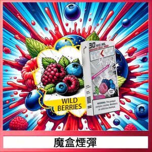 TOKYO MOHOO BOX東京魔盒電子菸煙彈丨12ML大容量